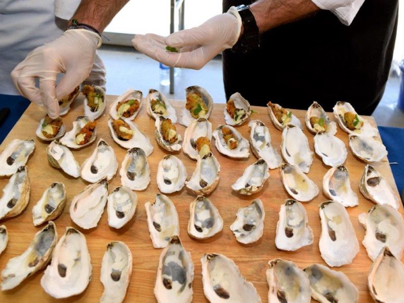 oysters, chef