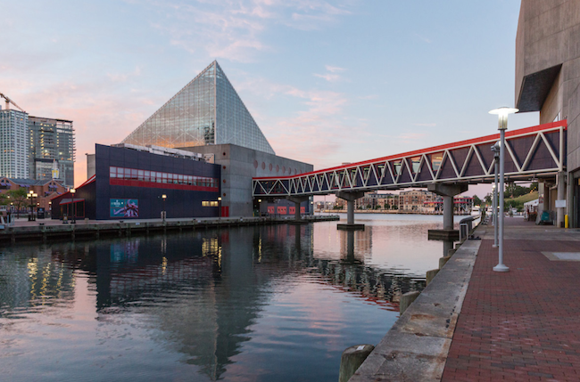 National Aquarium Baltimore, courtesy National Aquarium