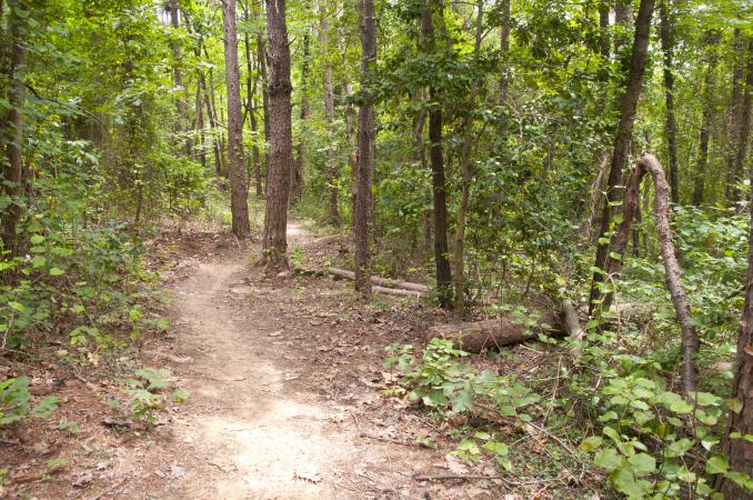 Cross County Trail