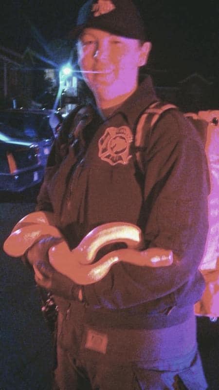 Denver Fire Dept, 15 foot snake