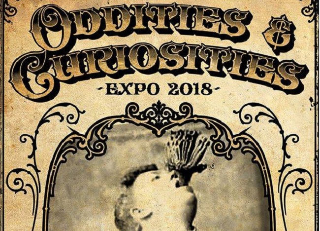 kc oddities and curiosities expo