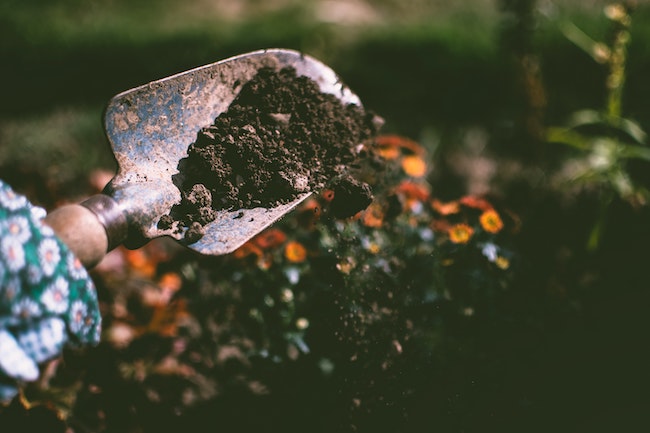 gardening tool and soil