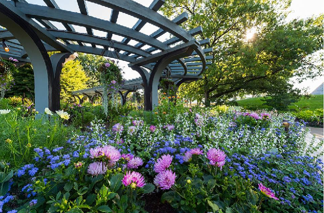 Denver Botanic Gardens Earns Bragging Rights With Top Gardening Award