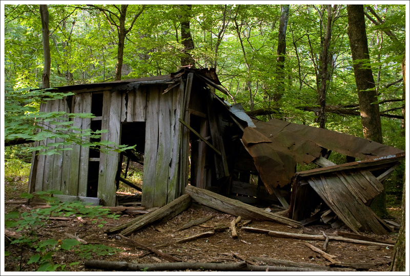 abandoned shack
