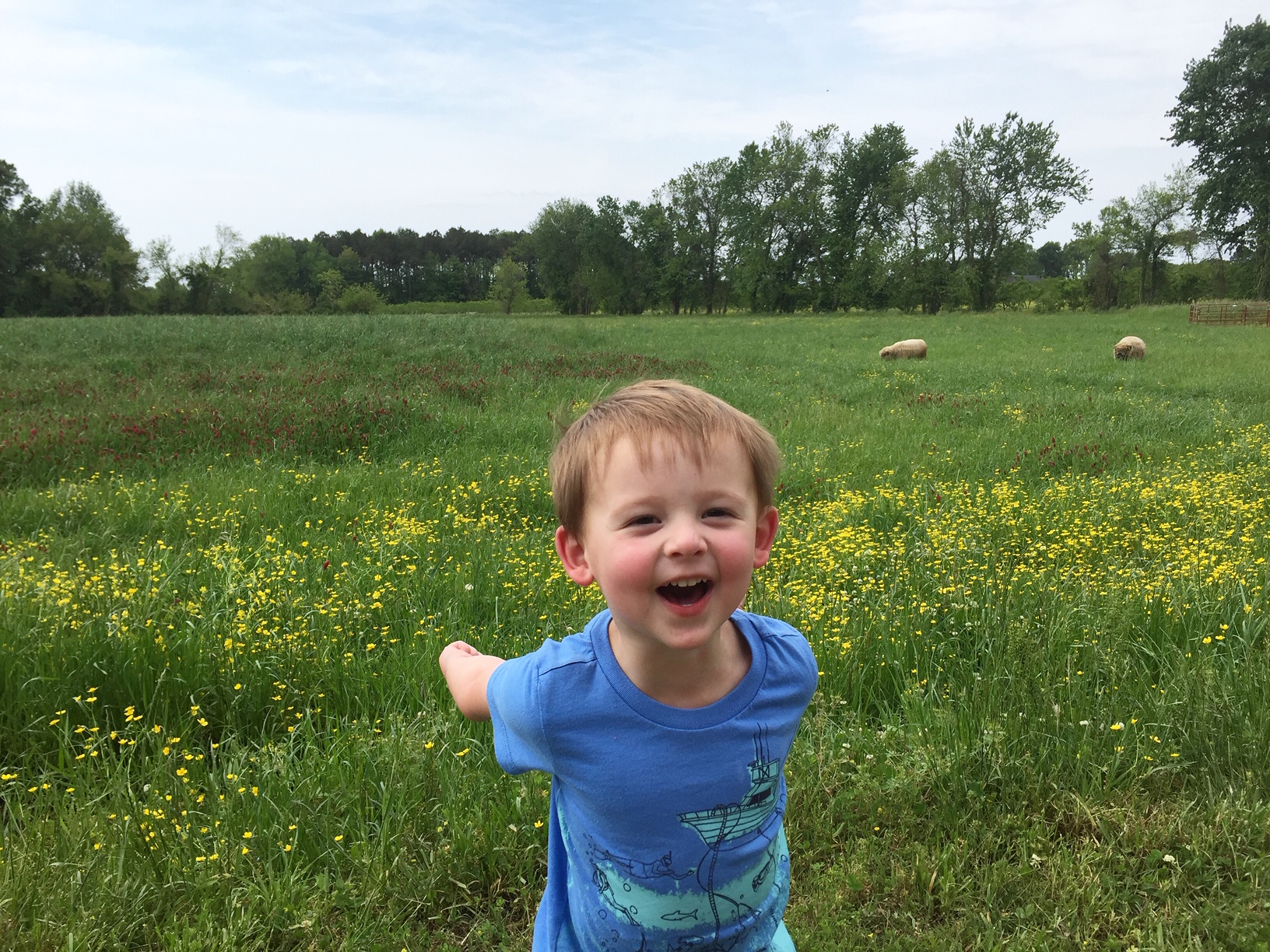 little boy standing in a field