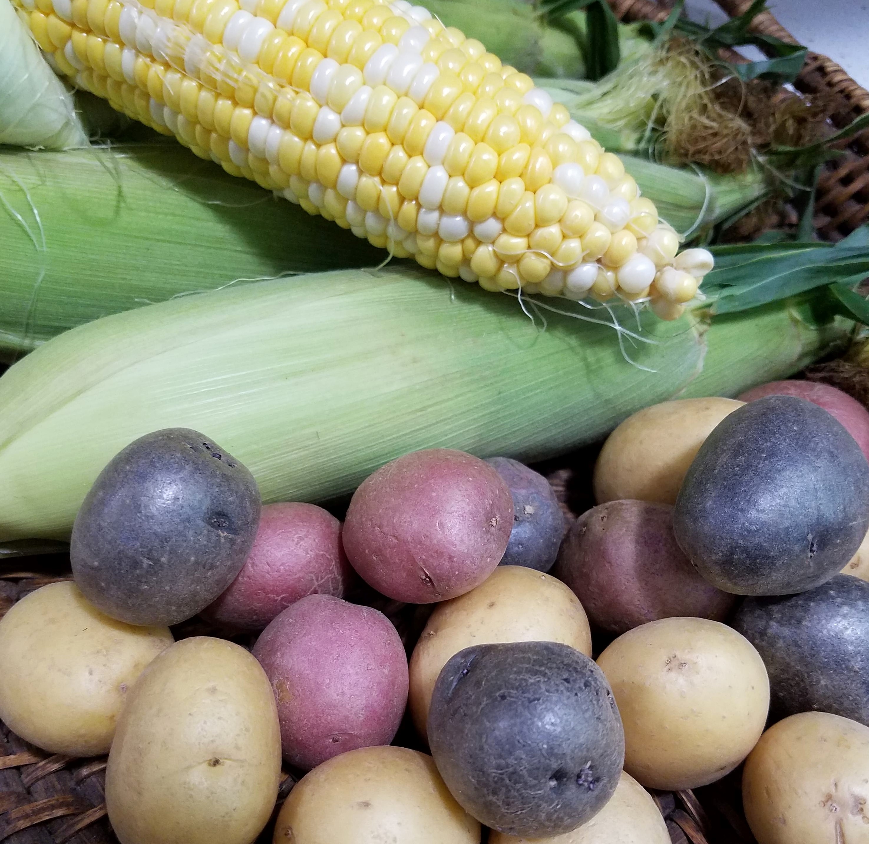 corn, potatoes