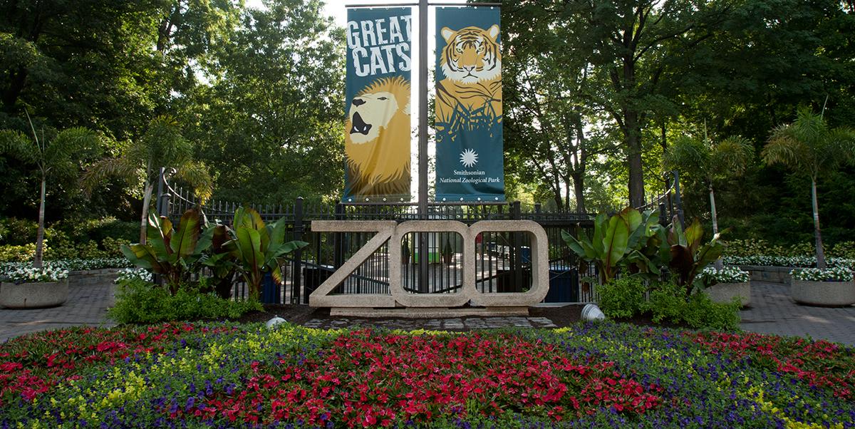 zoo entrance