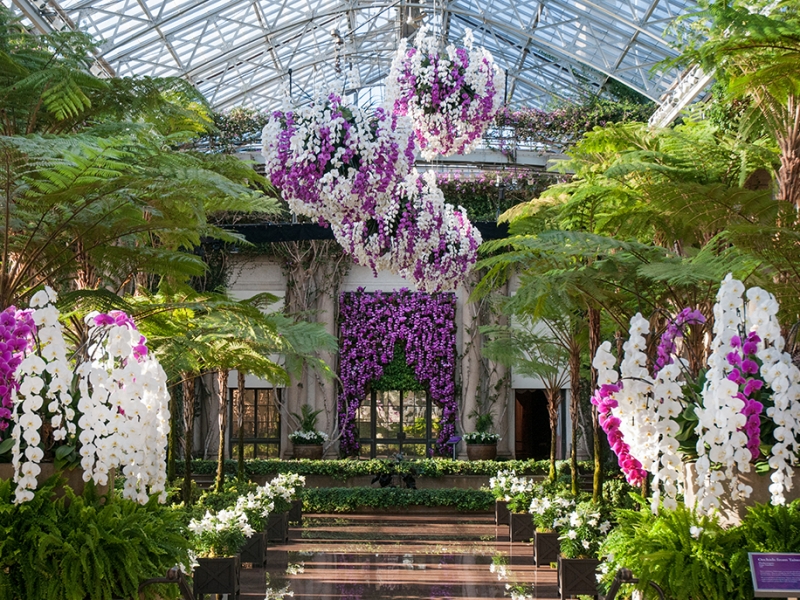 Longwood Gardens Is Helping Maryland Spring Into Bloom