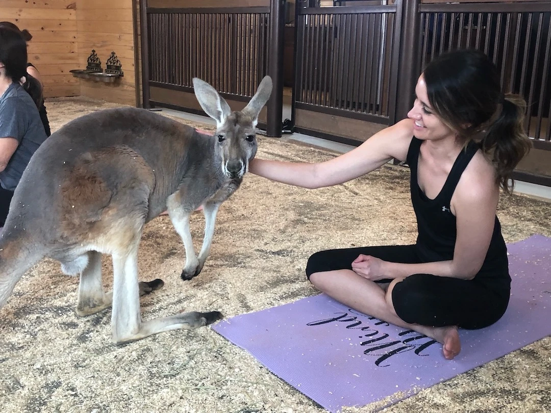 Kangaroo Fight Yoga Mat