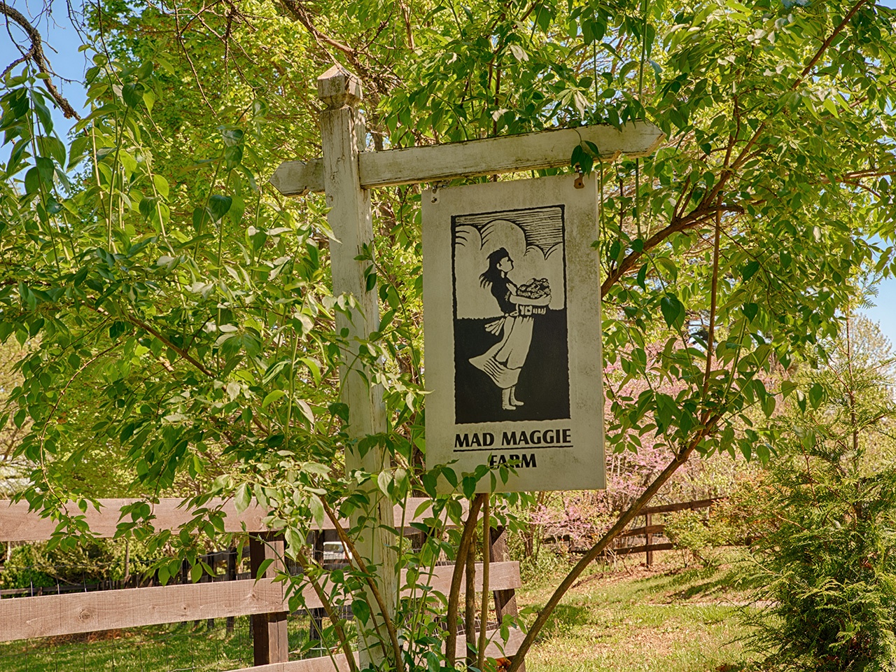 sign, Mad Maggie Farm