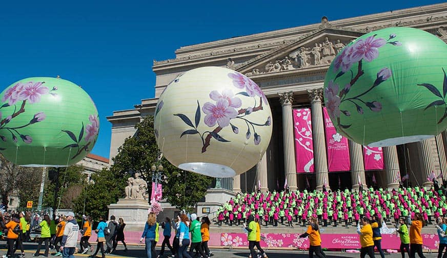 cherry blossom festival parade balloons