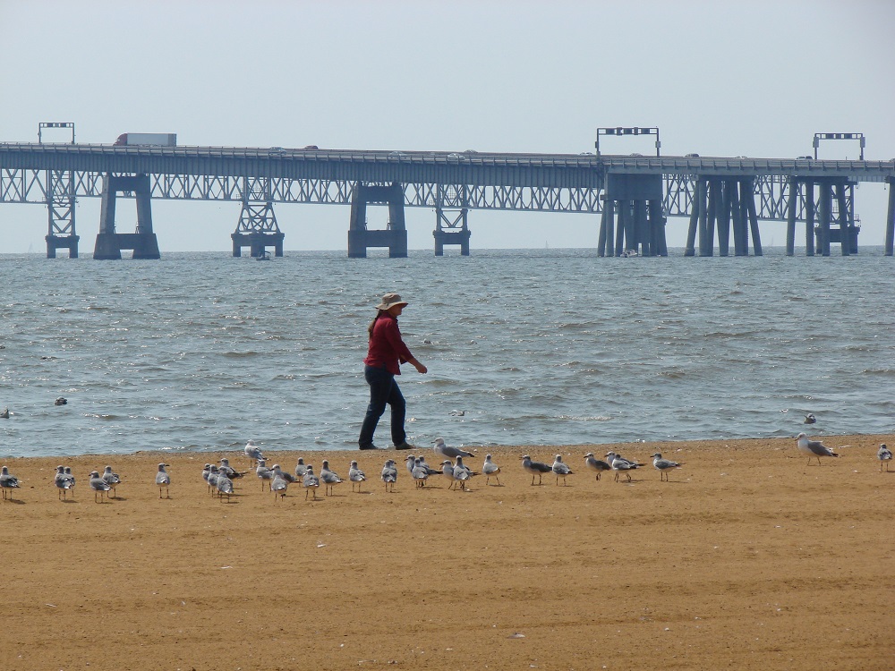 4 Best Places to Go Crabbing in Maryland